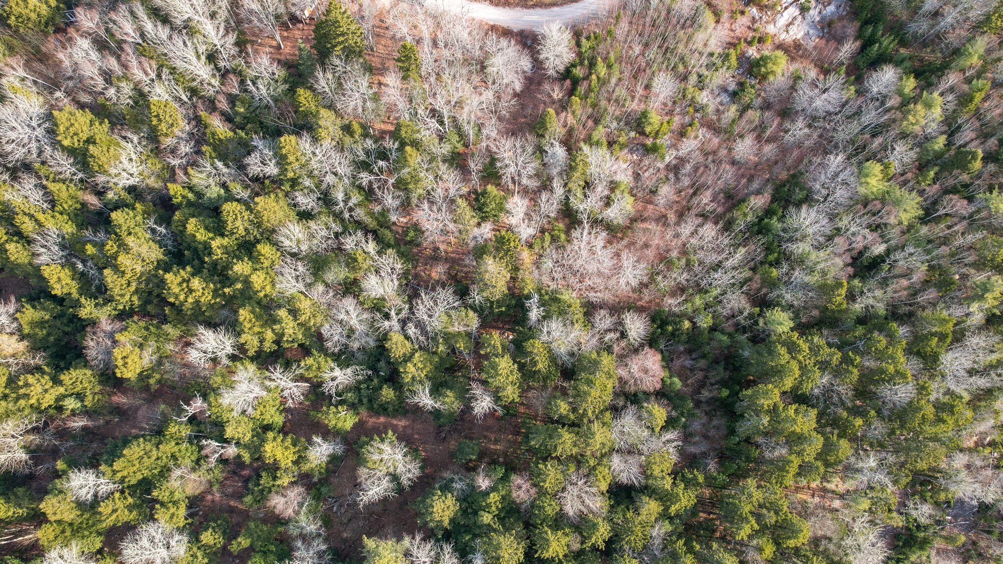 142 Sandy Acres Drive Sullivan, ME 04664 - Photo 9 of 26 sandy 2