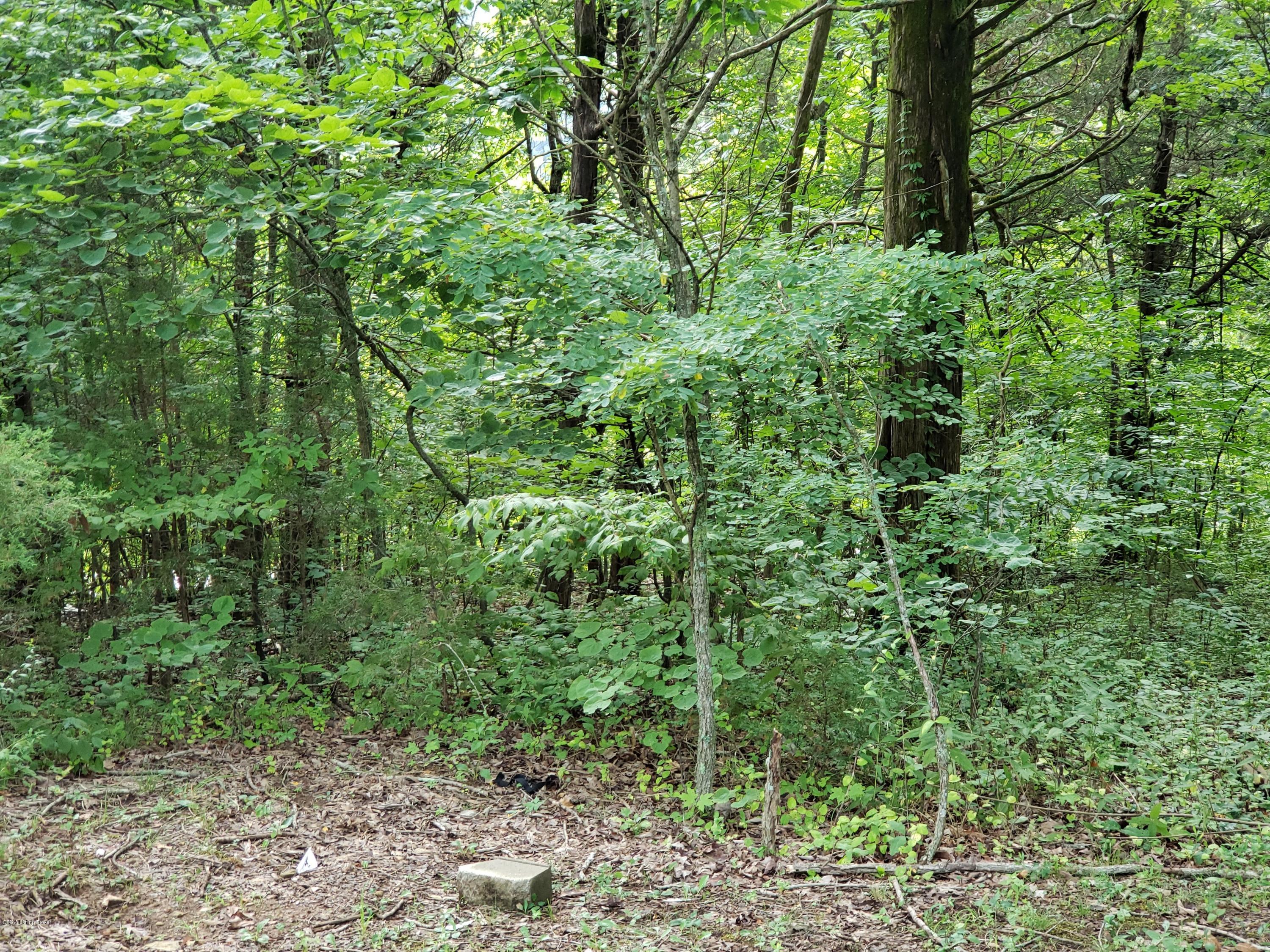 Lot #25 Red Wing Road Brandenburg, KY 40108 - Photo 3 of 12 20180801_093931