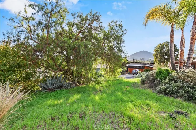 a view of garden with trees