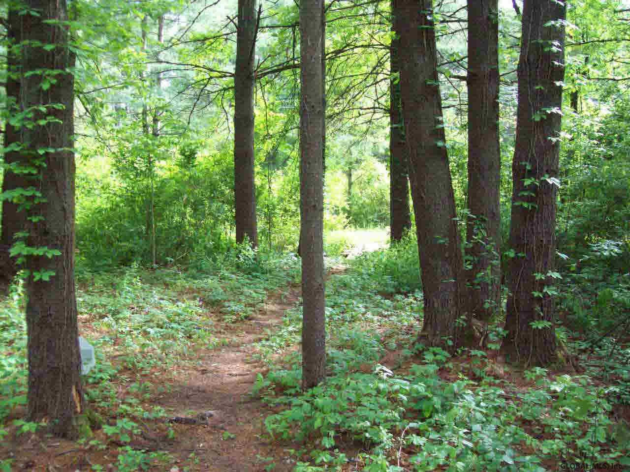30 Country Club Road Queensbury, NY 12804 - Photo 11 of 12 Photo 11