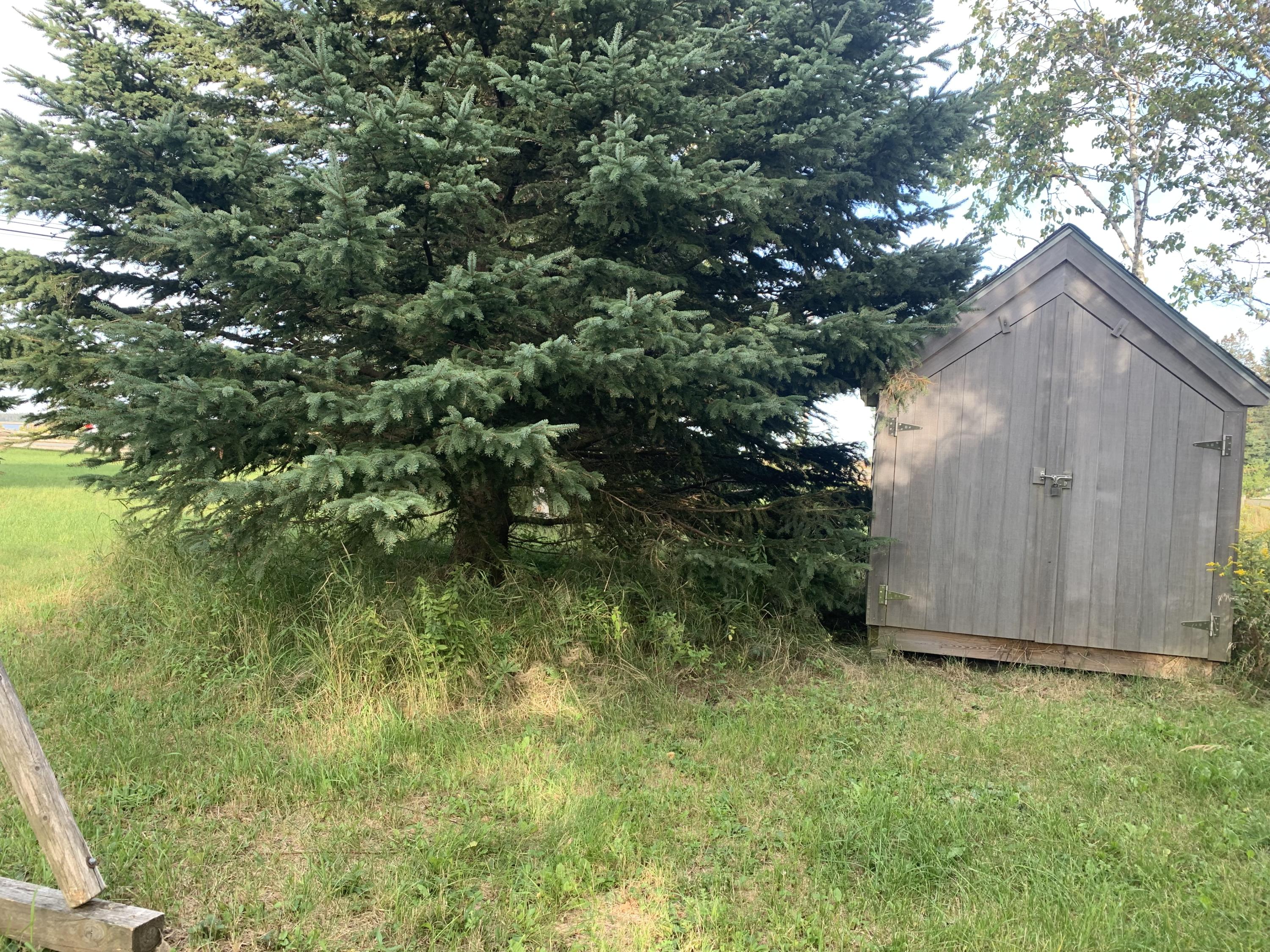 115 Crowley Island Road Corea, ME 04624 - Photo 40 of 58 Photo Sep 15, 4 50 35 PM