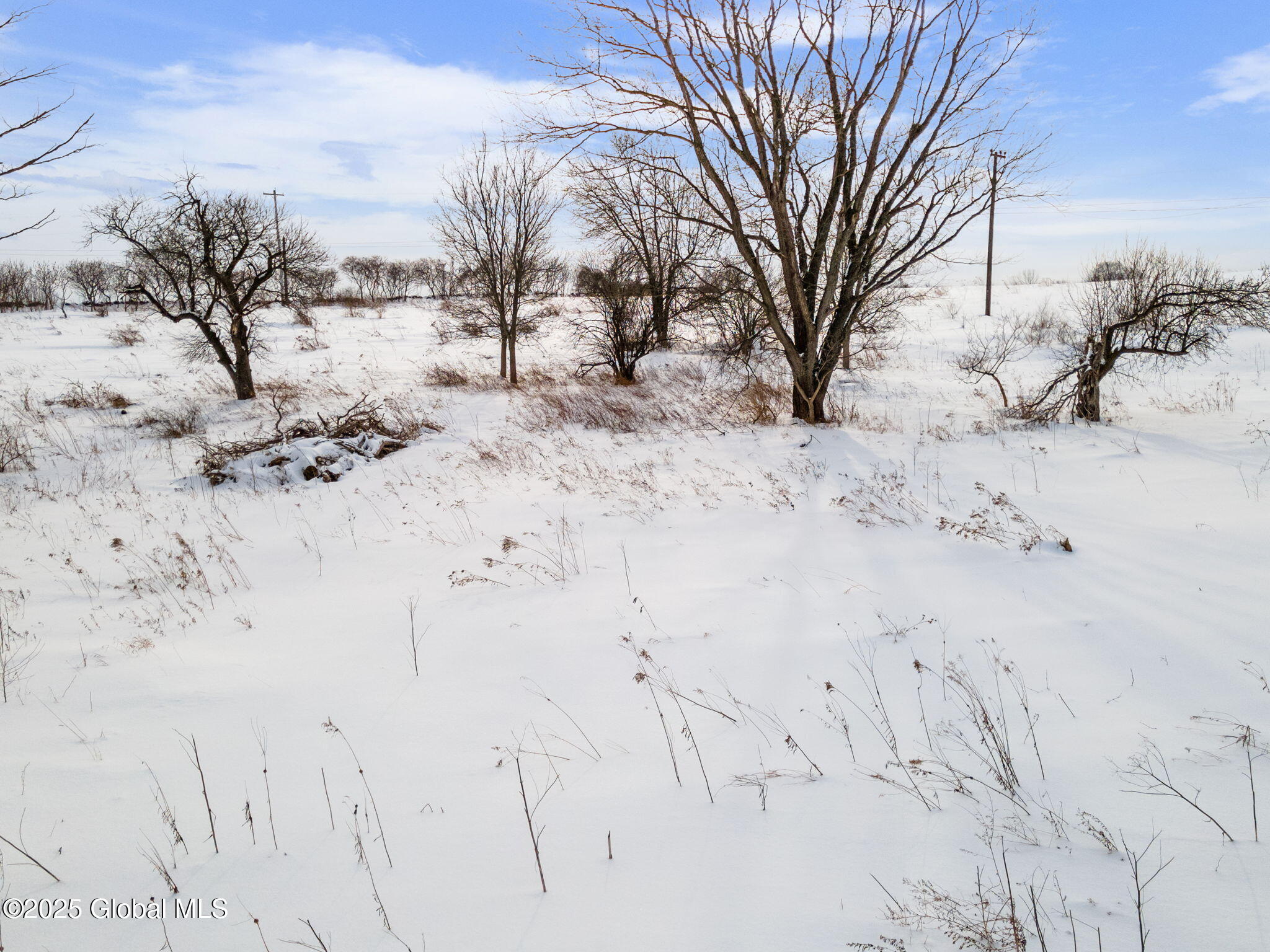 253 River Road Minden, NY 13339 - Photo 4 of 16 4-253RiverRd_04