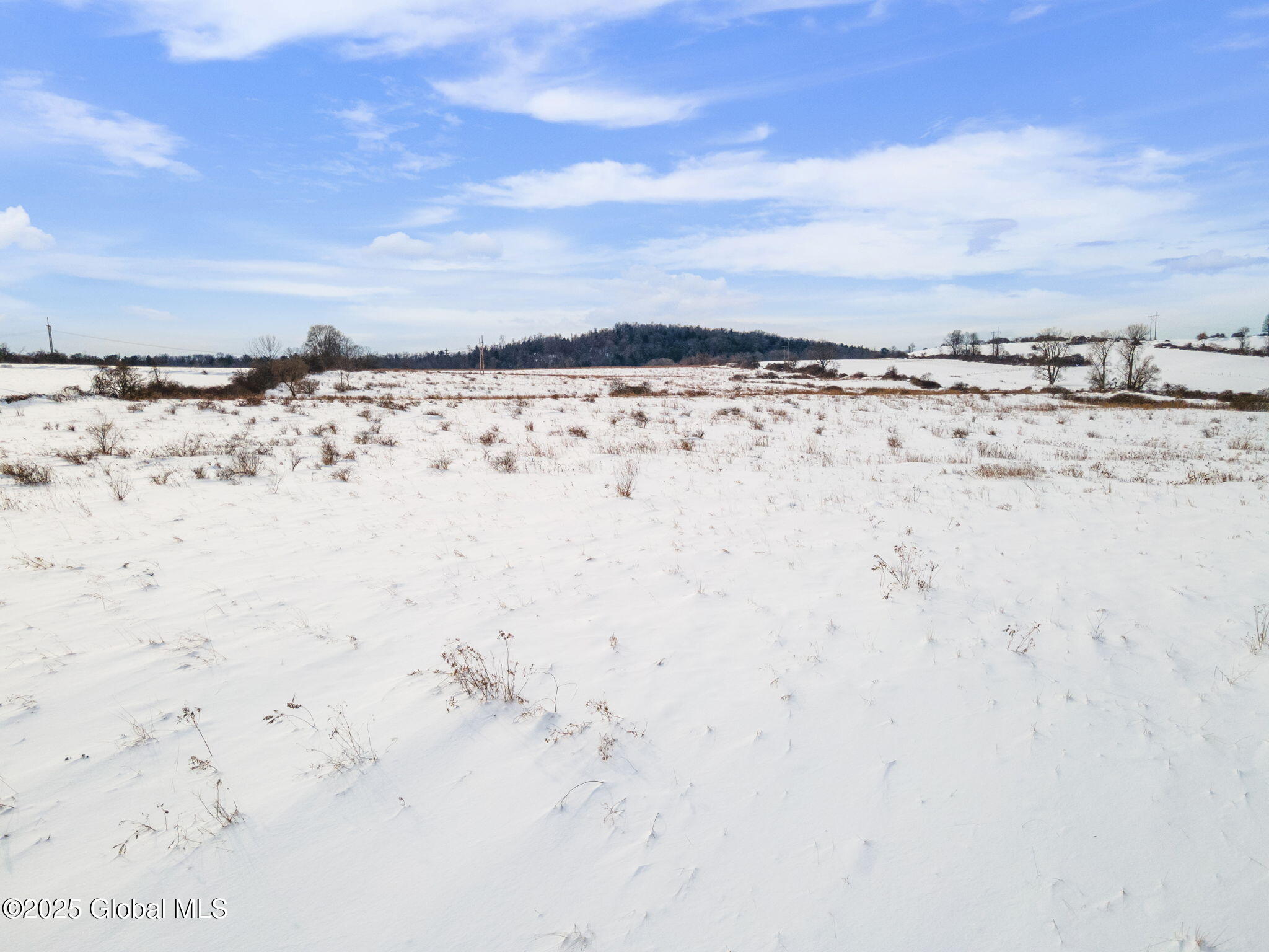 253 River Road Minden, NY 13339 - Photo 6 of 16 6-253RiverRd_06