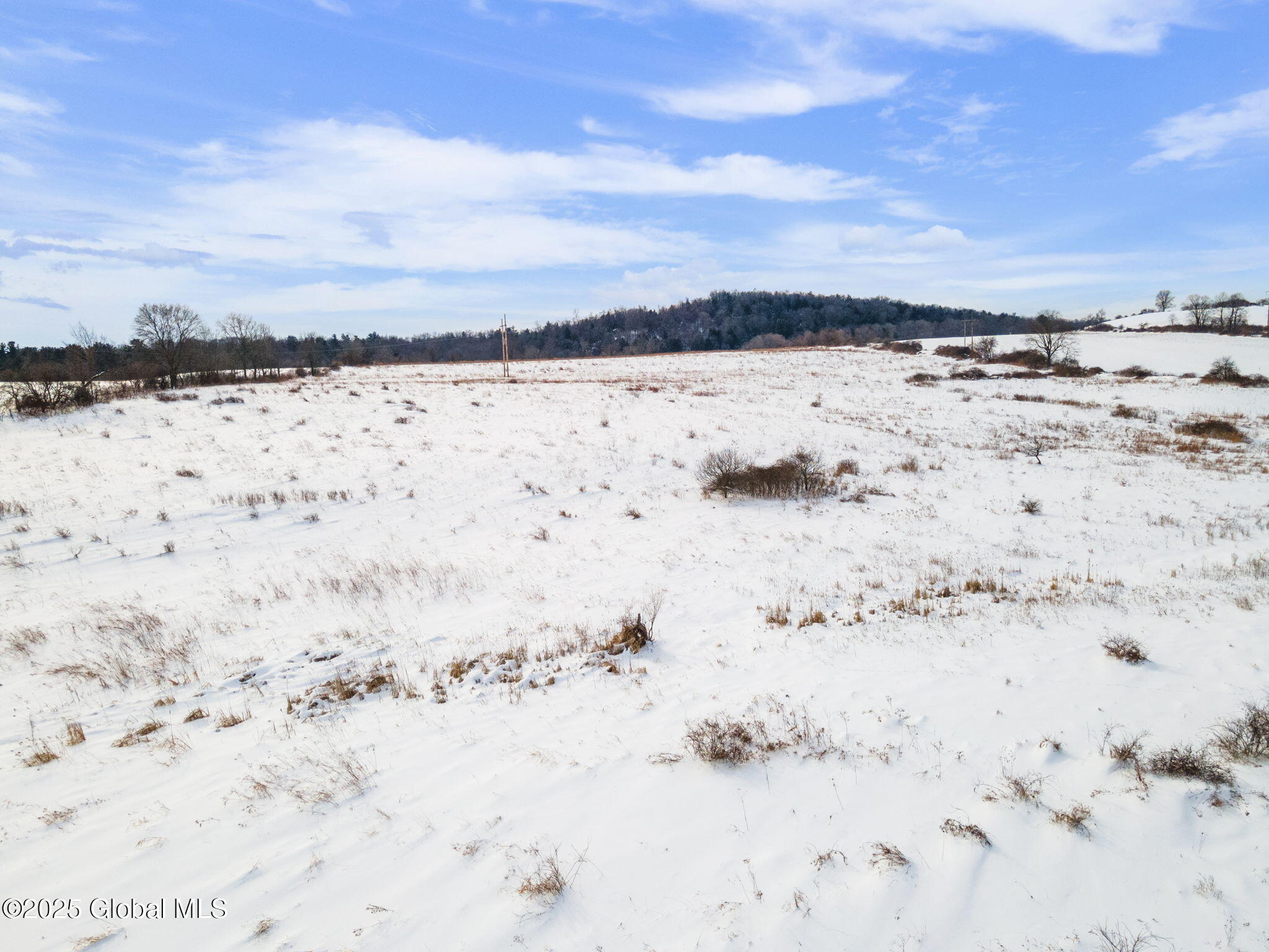 253 River Road Minden, NY 13339 - Photo 7 of 16 7-253RiverRd_07