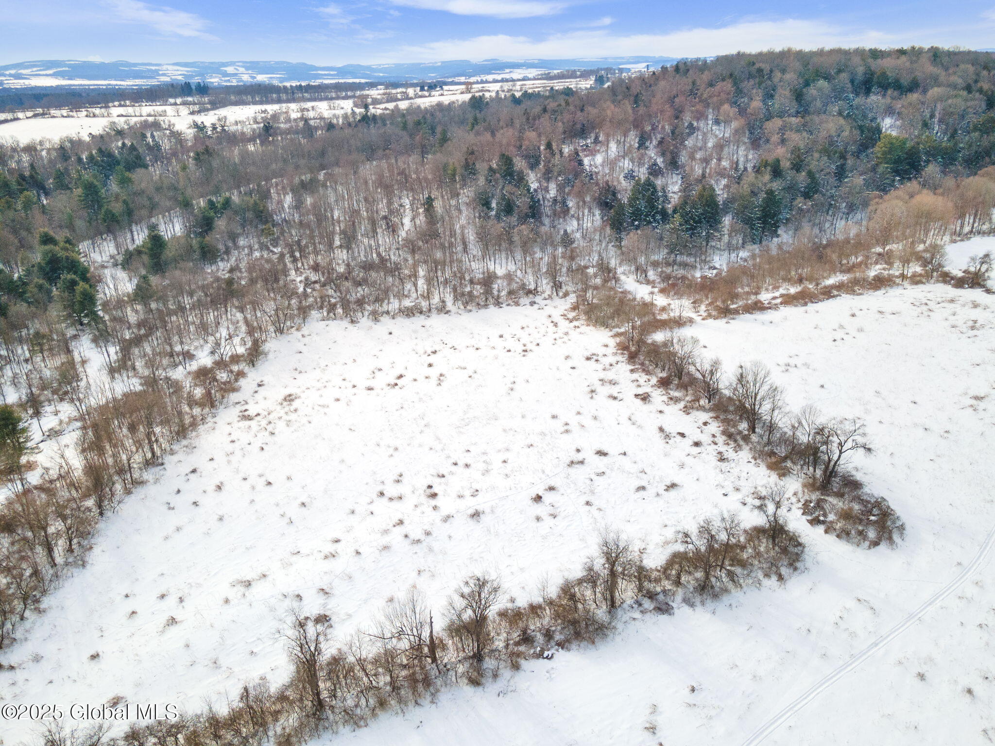 253 River Road Minden, NY 13339 - Photo 8 of 16 8-253RiverRd_08