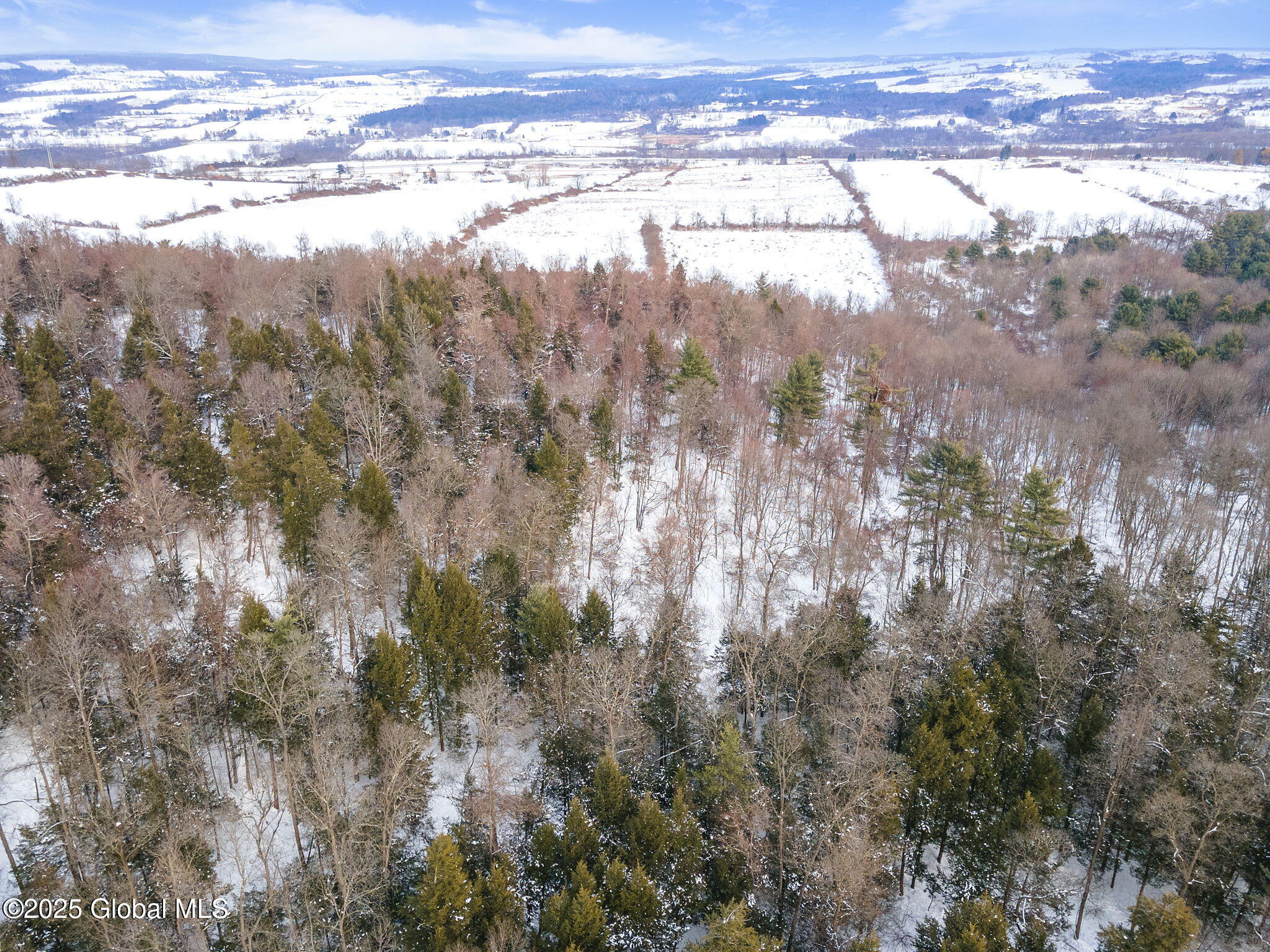 253 River Road Minden, NY 13339 - Photo 9 of 16 10-253RiverRd_10