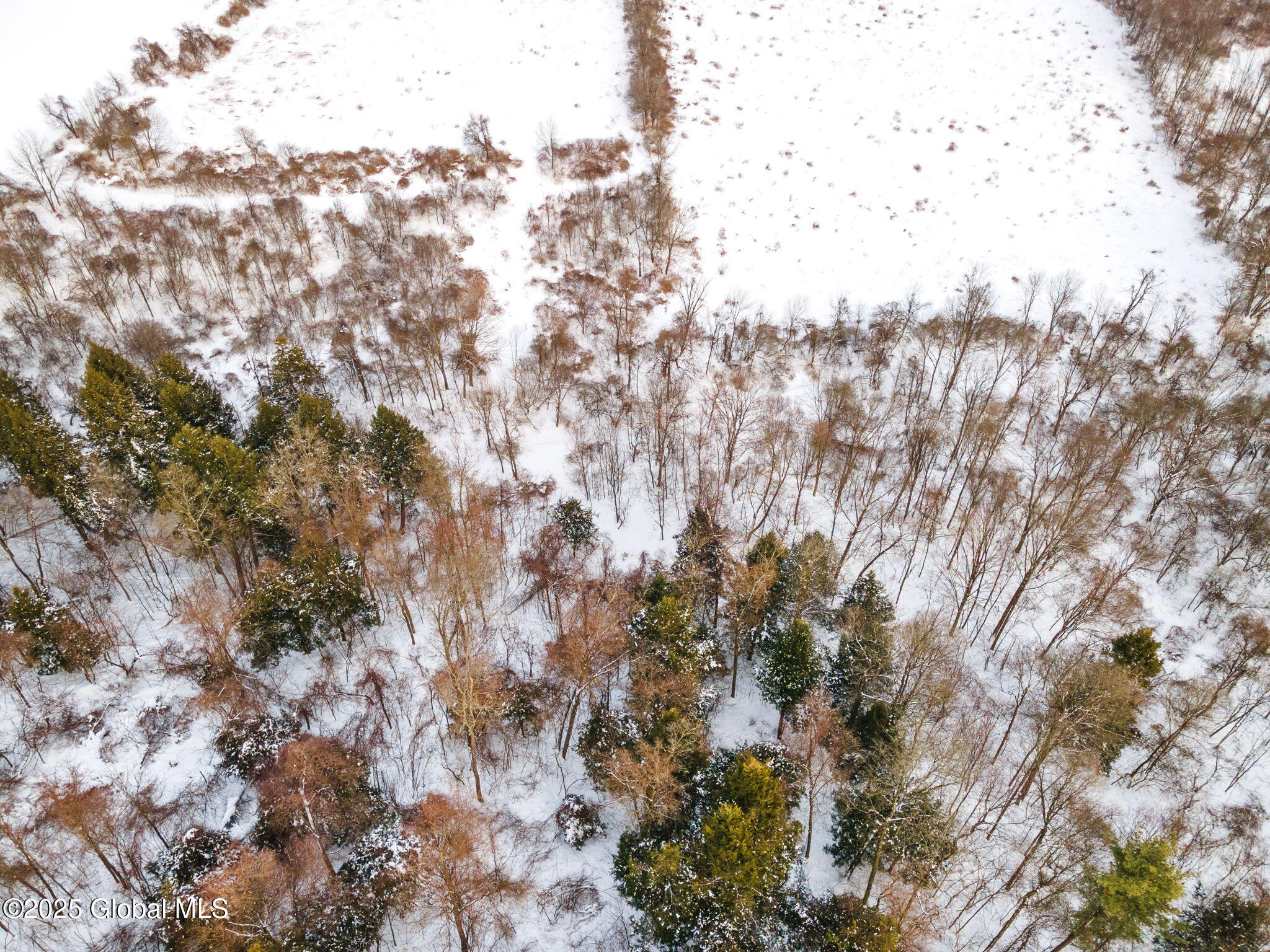 253 River Road Minden, NY 13339 - Photo 10 of 16 11-253RiverRd_11