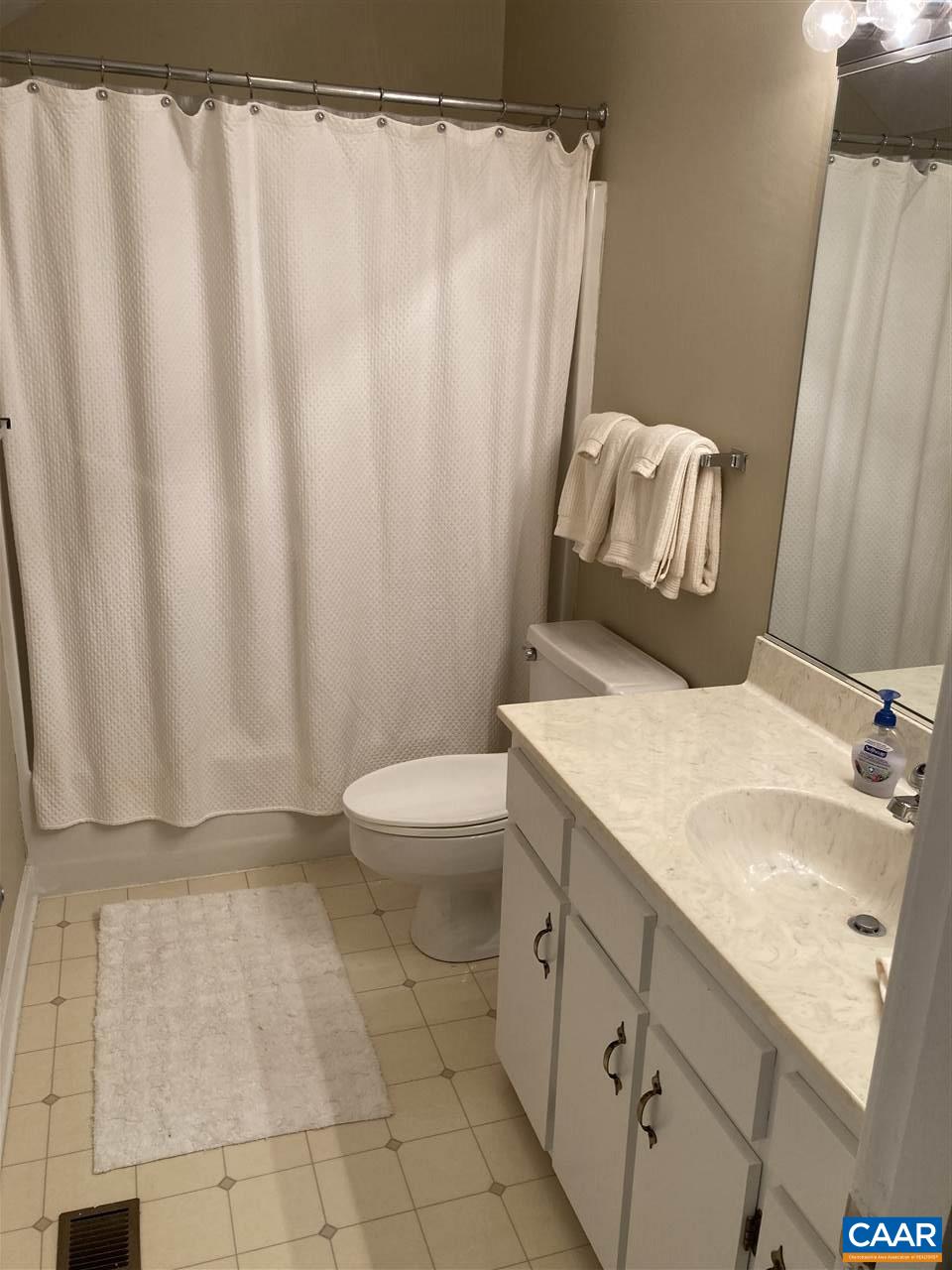 409 3 Ridges Roseland, VA 22967 - Photo 13 of 19 a bathroom with a sink a toilet and shower curtain