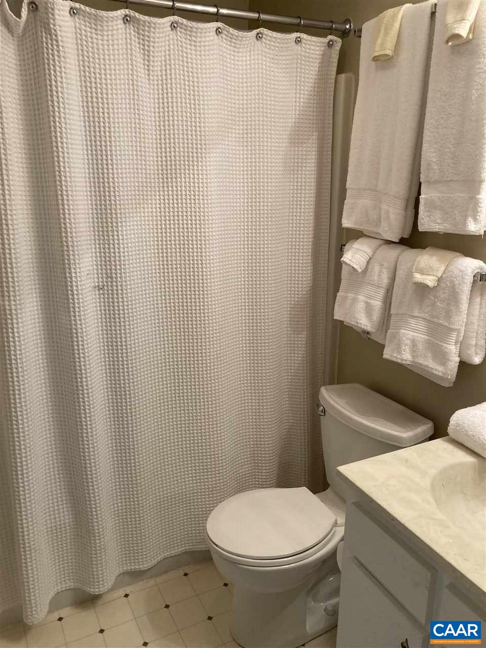 409 3 Ridges Roseland, VA 22967 - Photo 6 of 19 a white toilet sitting next to a shower curtain