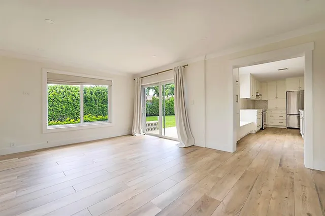a view of a backyard with plants and palm tree