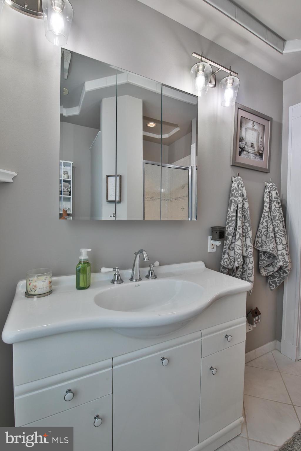 7901 York Road Towson, MD 21204 - Photo 39 of 50 Large vanity in hall bath