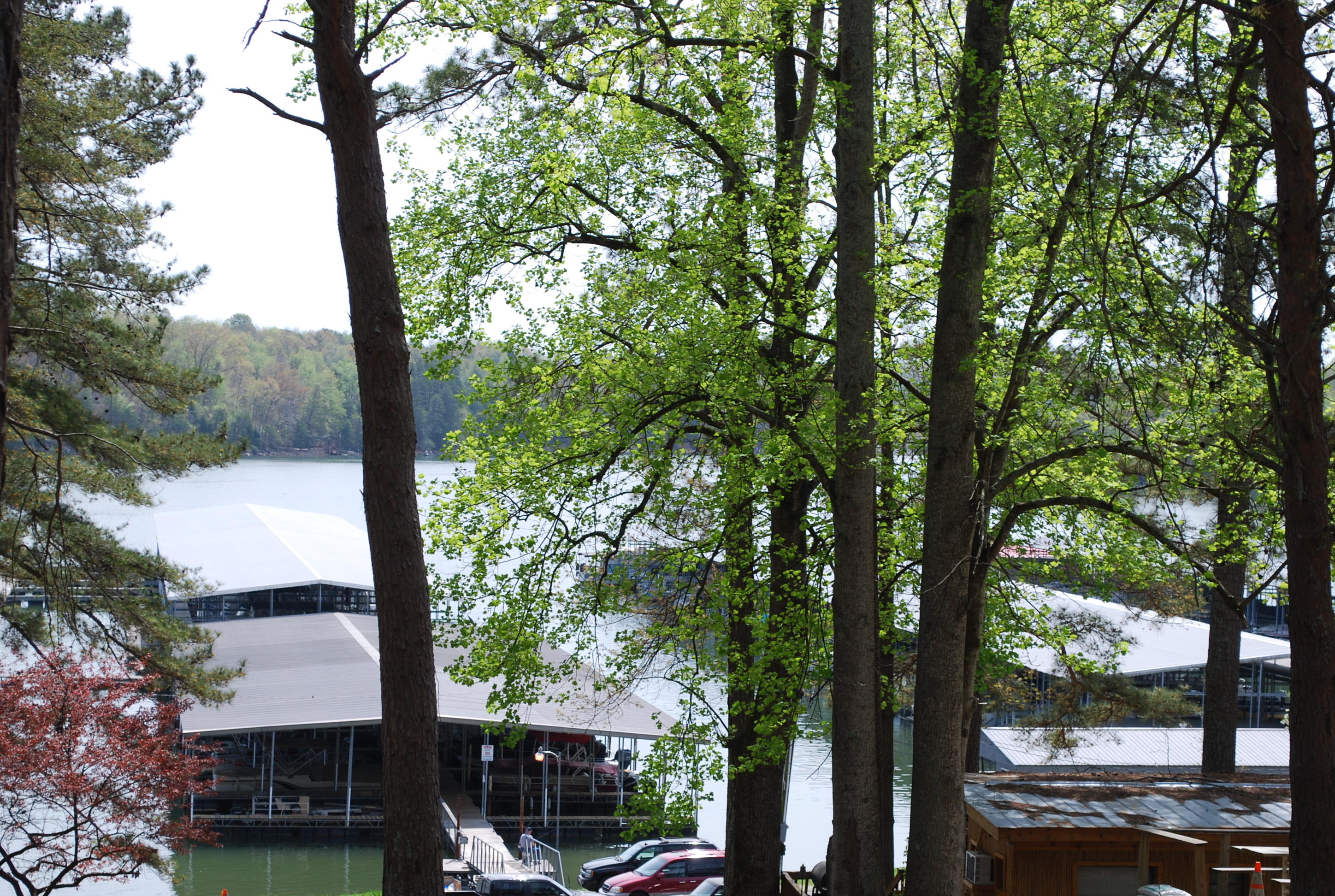 1127 Clift Cave Road Soddy Daisy, TN 37379 - Photo 27 of 36 Marina