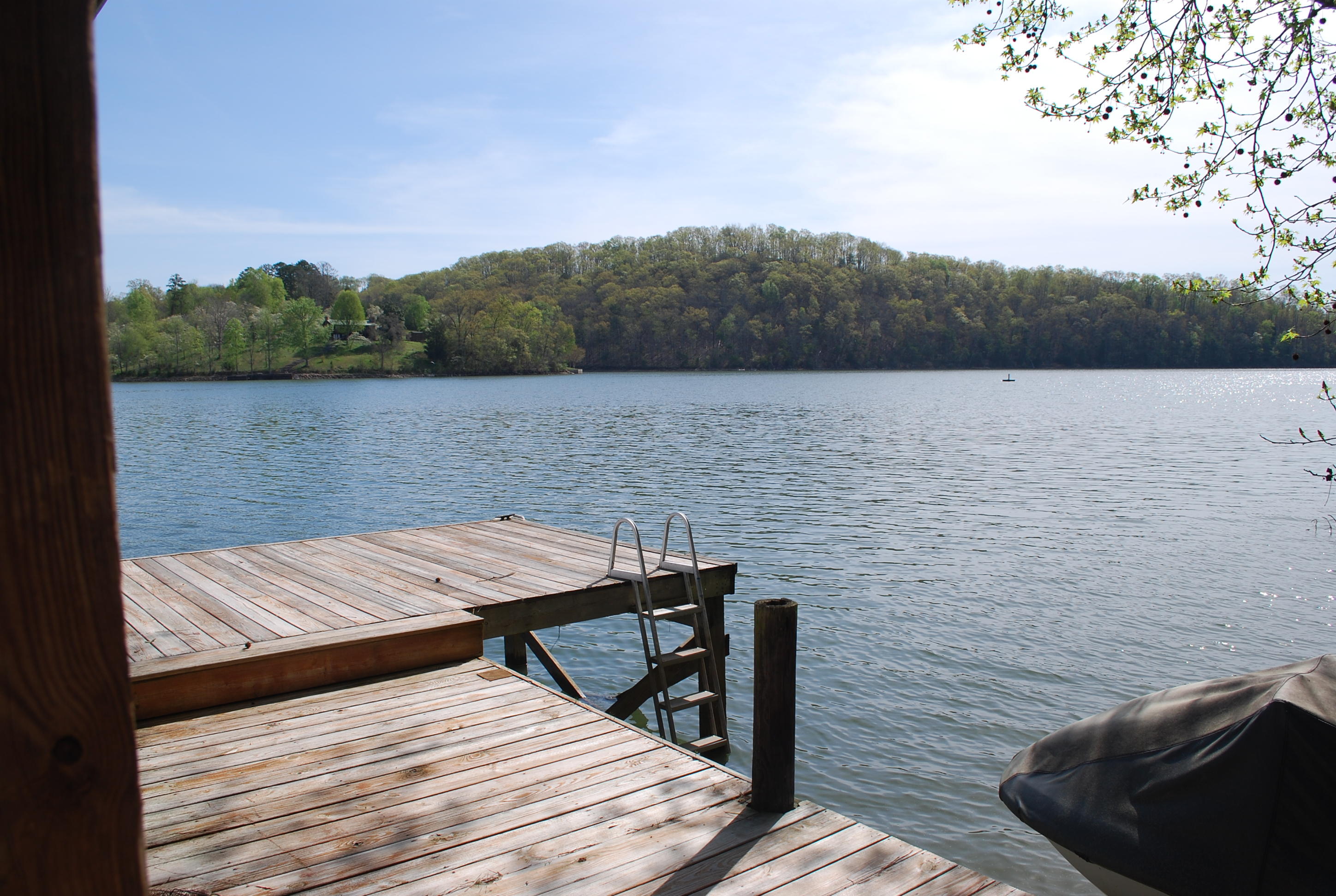 1127 Clift Cave Road Soddy Daisy, TN 37379 - Photo 33 of 36 View from the Dock