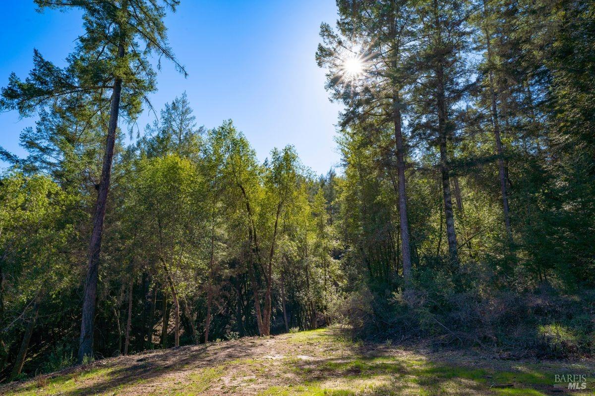 3210 West Dry Creek Road Healdsburg, CA 95448 - Photo 30 of 31