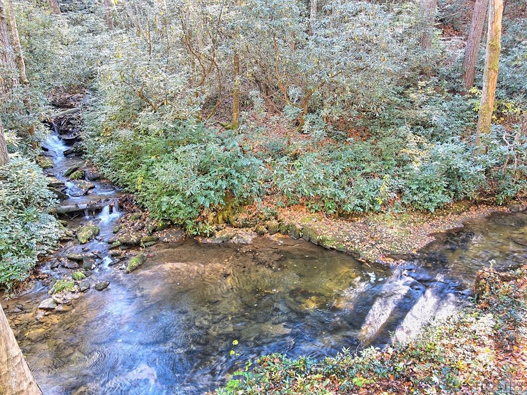 693 Wandering Ridge Cashiers, NC 28717 - Photo 6 of 54 Gallery Image 6
