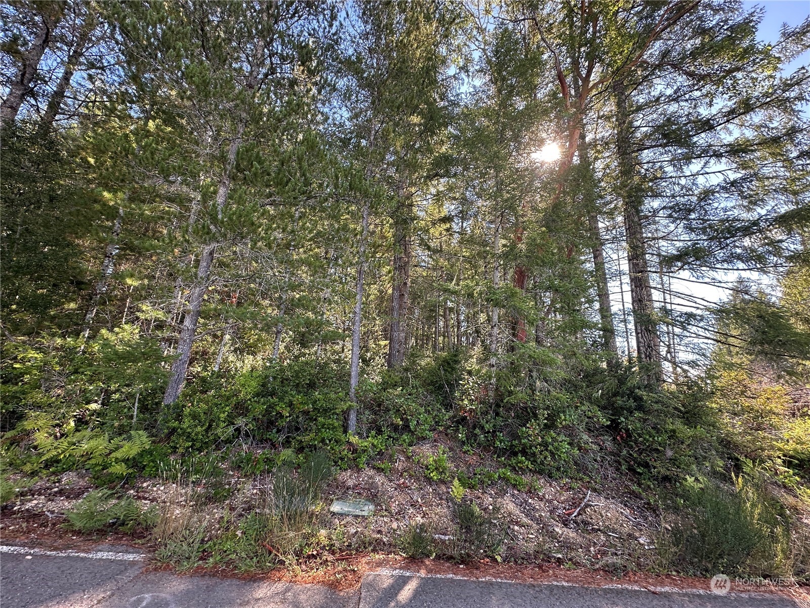 23 Hurd Road Belfair, WA 98528 - Photo 5 of 6