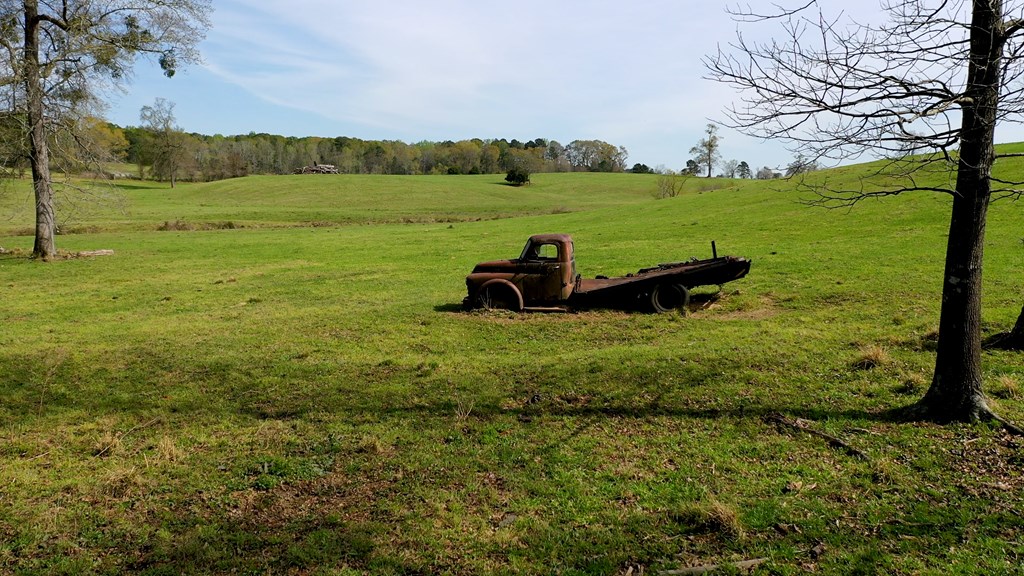 369 Bud Gary Road Clayton, AL 36016 - Photo 41 of 42
