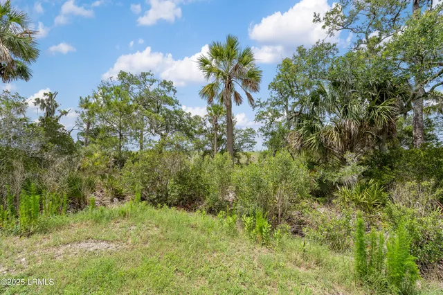 $2,800 | 60 Backwater Street, Port Royal, SC 29906