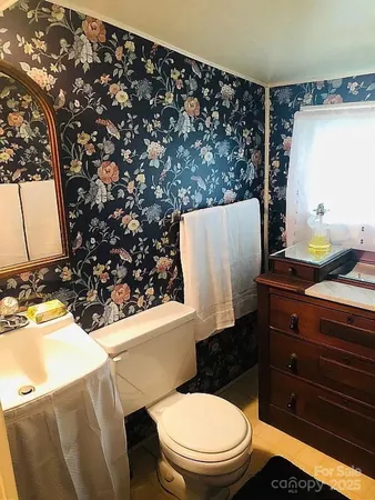 a bathroom with a sink a toilet and shower curtain