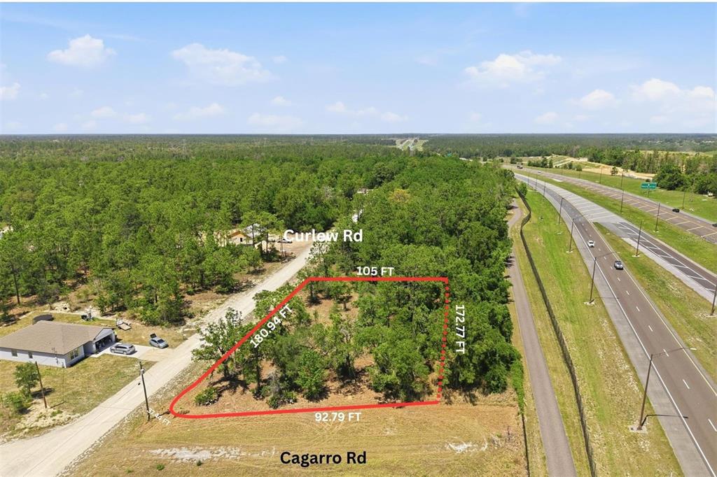 10 Cagarro Road Weeki Wachee, FL 34614 - Photo 6 of 21