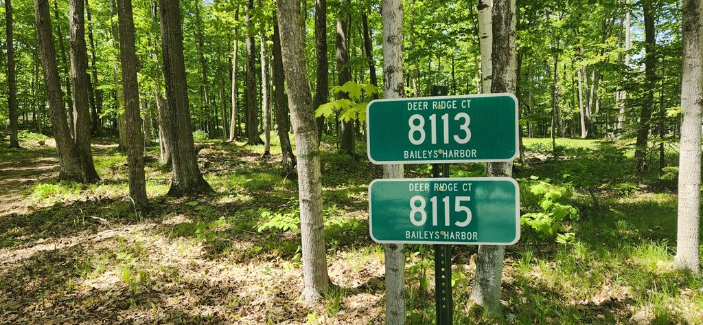 8113 Deer Ridge Baileys Harbor, WI 54202 - Photo 1 of 15