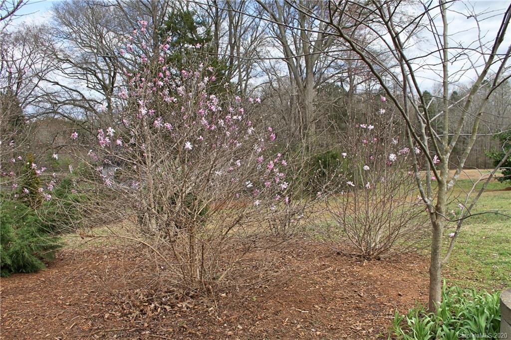 1135 Lawrence Road Clover, SC 29710 - Photo 36 of 46 Gallery Image 36
