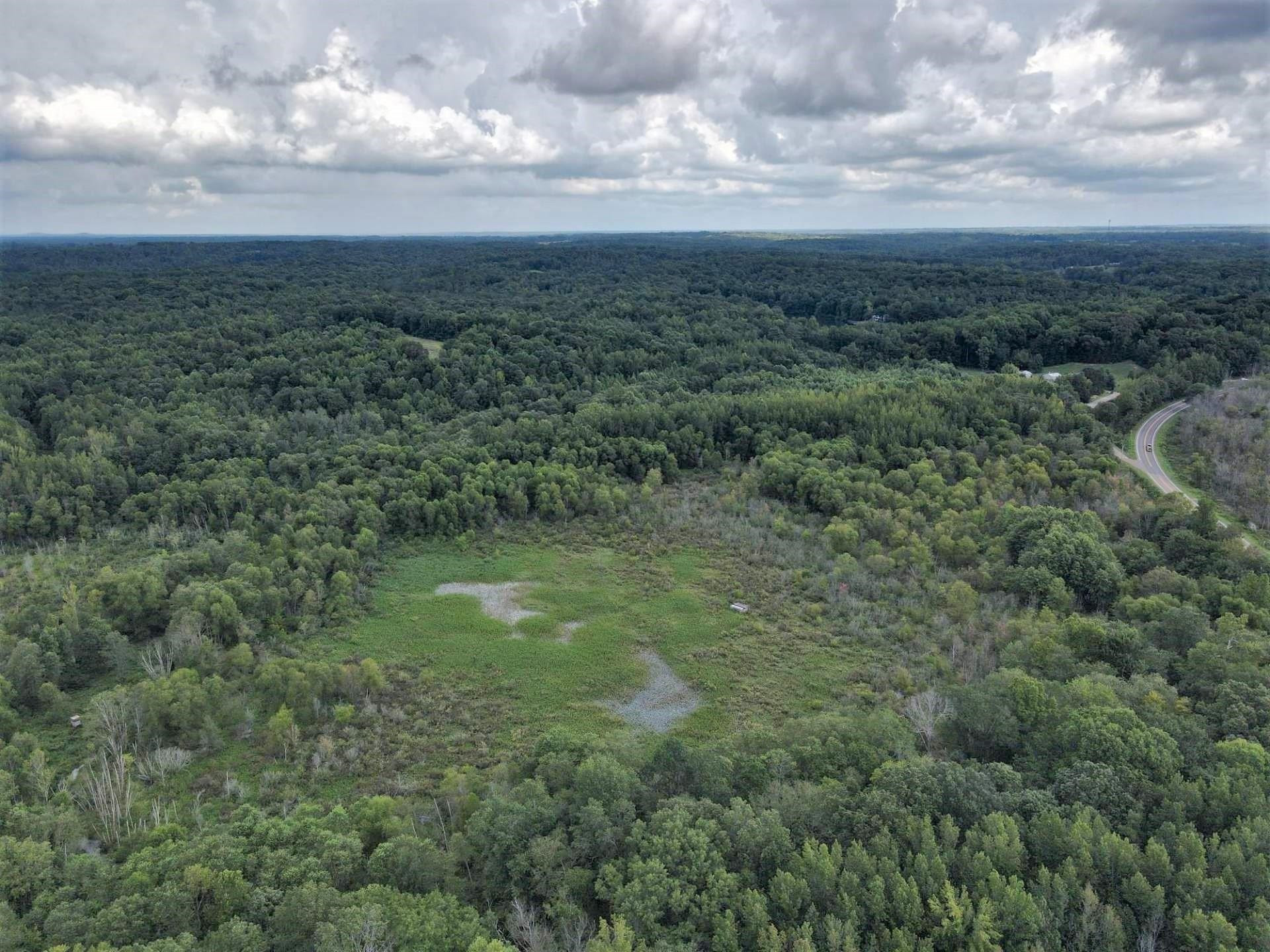 70 Fry Road Lavinia, TN 38348 - Photo 1 of 17 a view of a green yard in a field