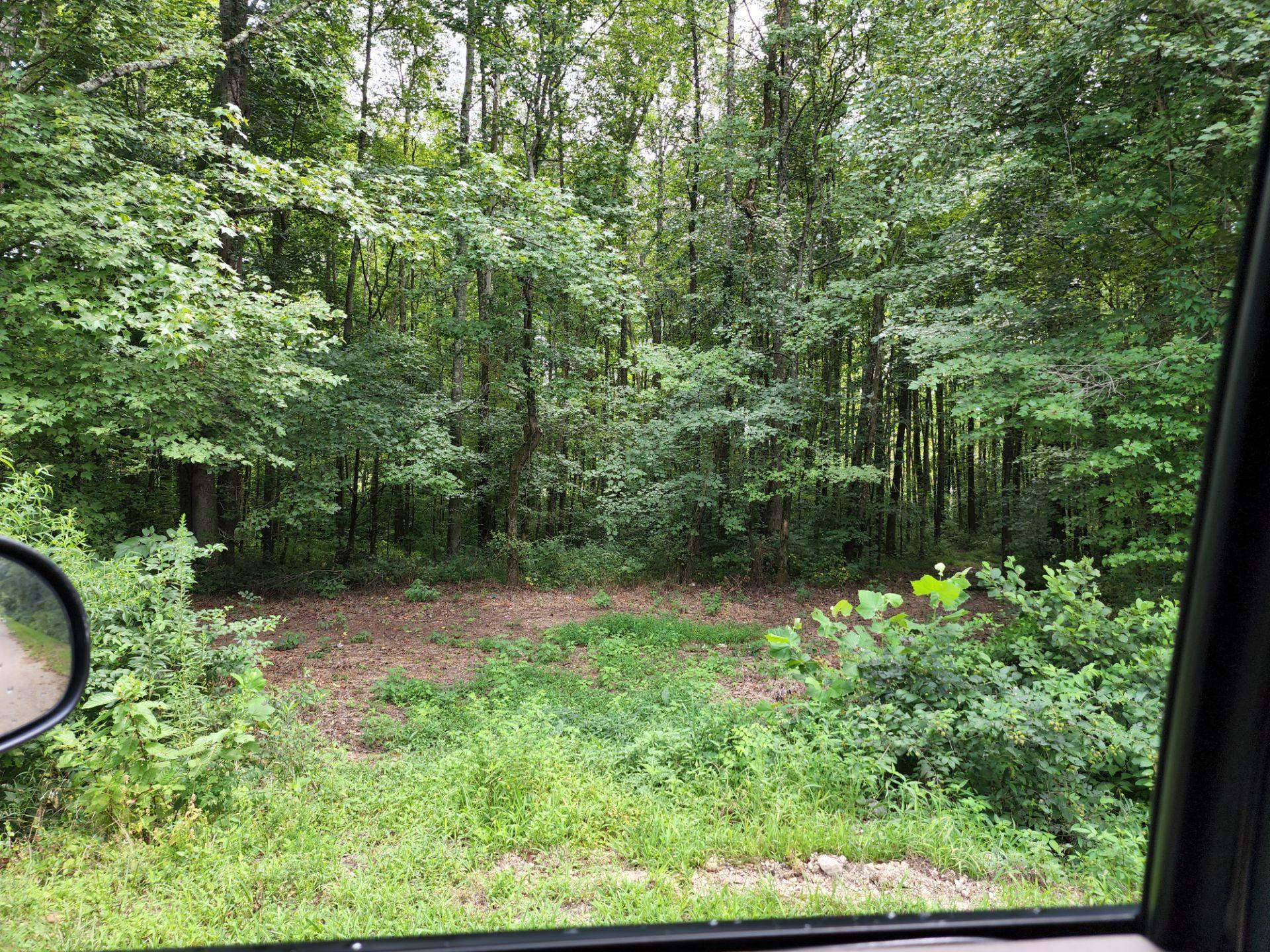 70 Fry Road Lavinia, TN 38348 - Photo 11 of 17 a backyard of a house with lots of green space