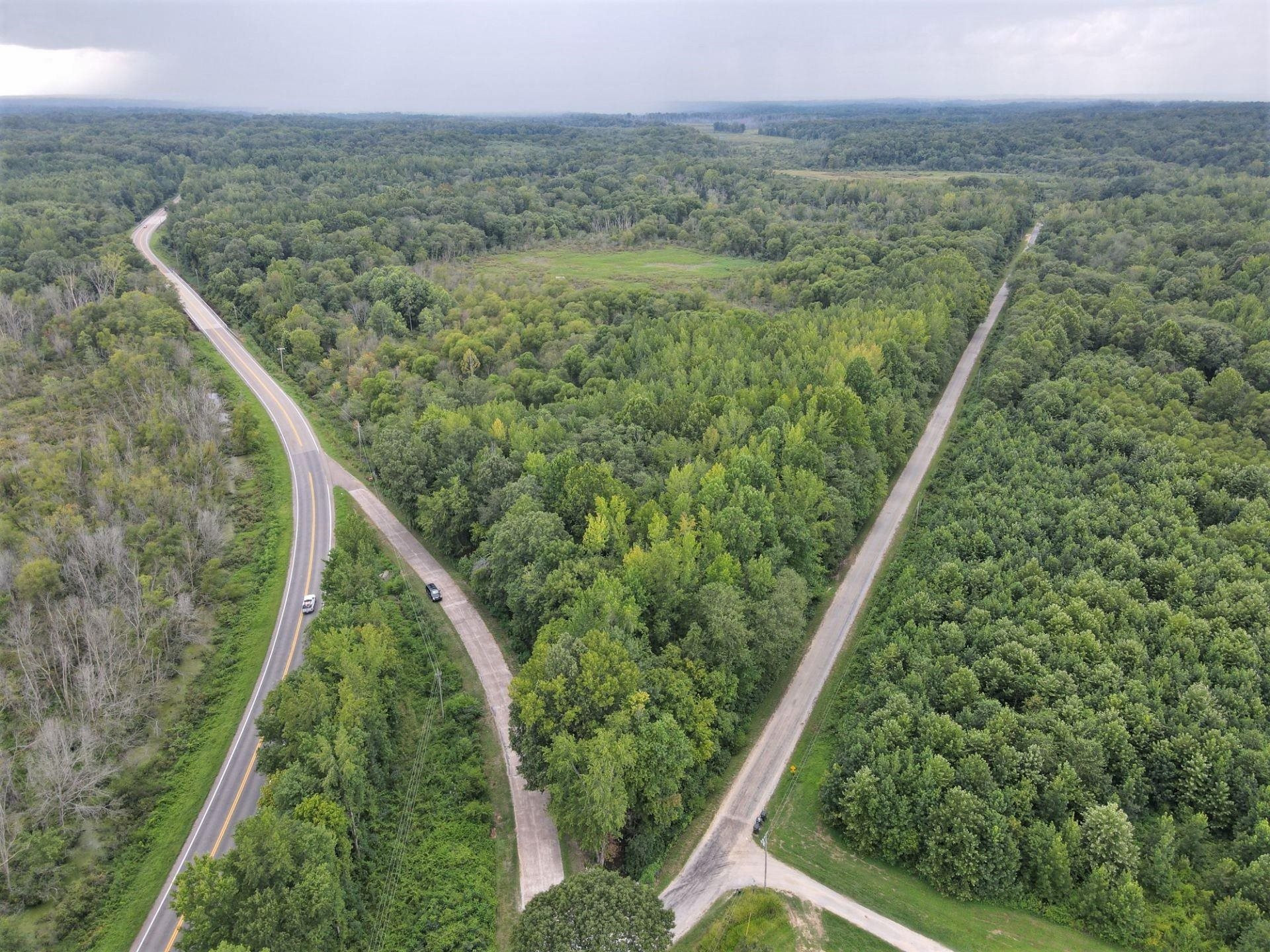70 Fry Road Lavinia, TN 38348 - Photo 16 of 17 a view of a forest from a balcony