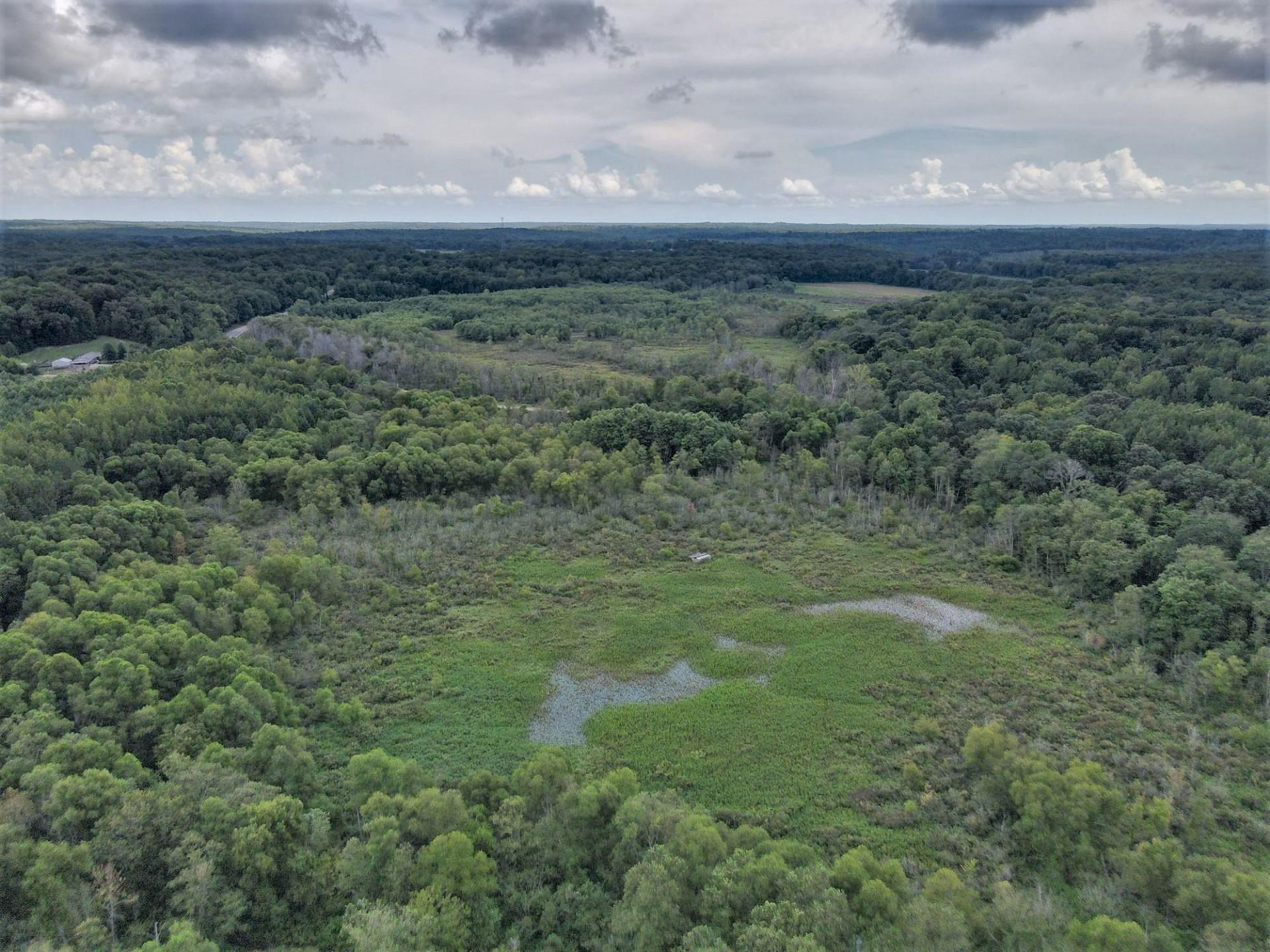 70 Fry Road Lavinia, TN 38348 - Photo 17 of 17 a view of a field of grass and trees