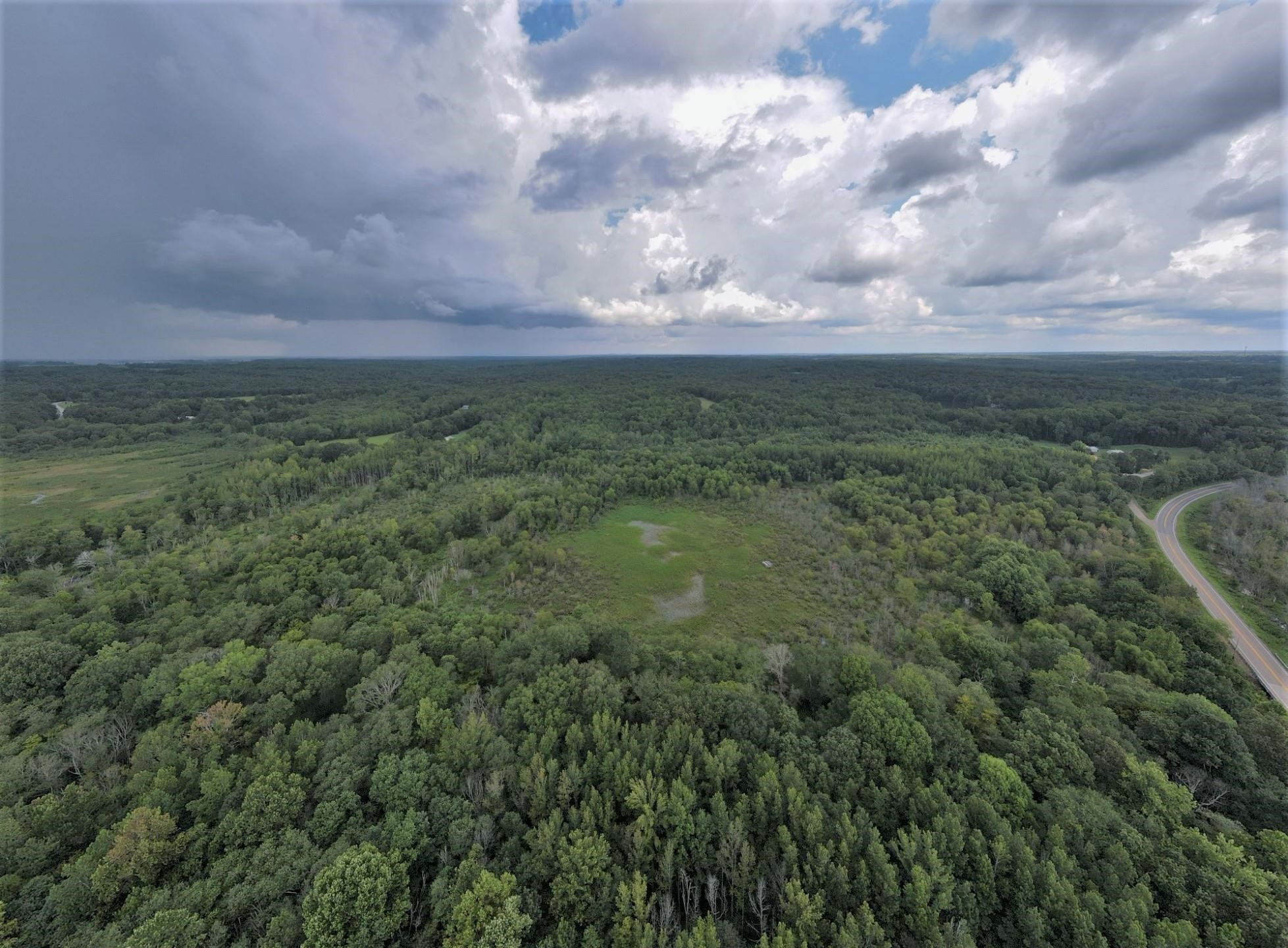 70 Fry Road Lavinia, TN 38348 - Photo 4 of 17 a view of a green field