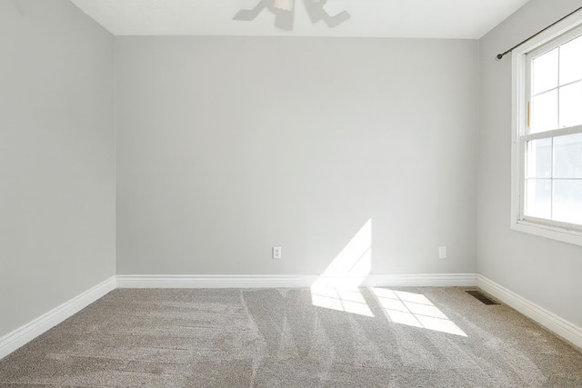 2509 Kara Crossing Bloomington, IL 61704 - Photo 53 of 74