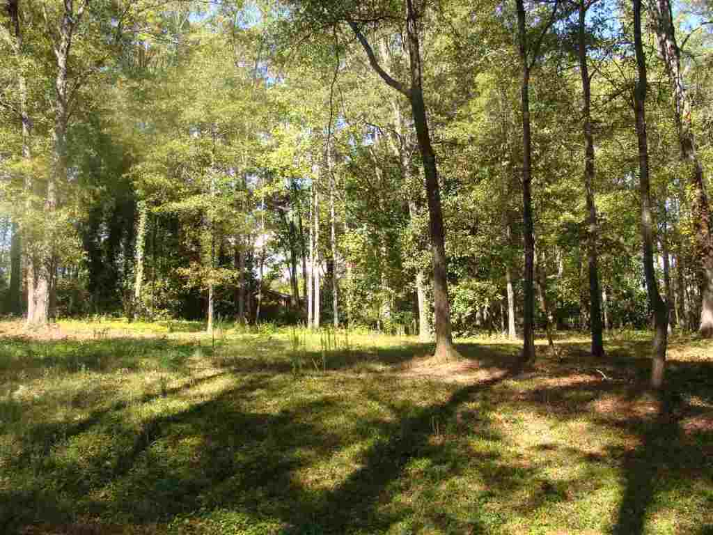 91-acres Echo Hollow Road Anderson, SC 29621 - Photo 1 of 10