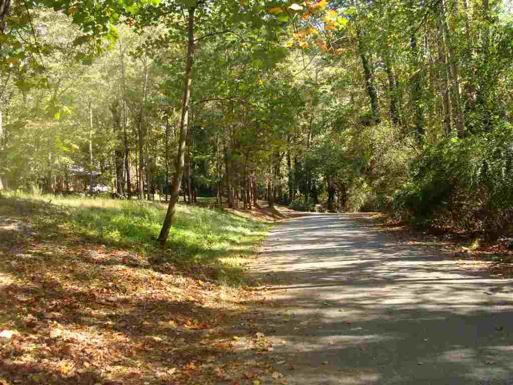 91-acres Echo Hollow Road Anderson, SC 29621 - Photo 2 of 10