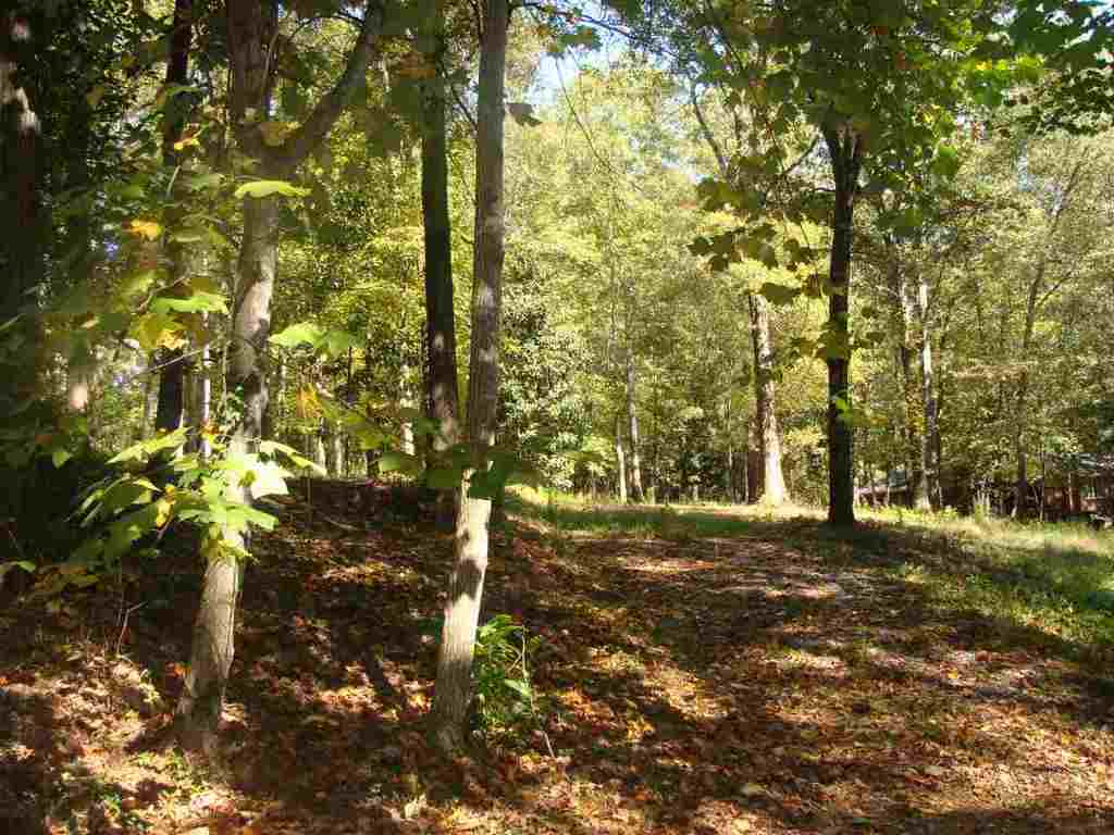 91-acres Echo Hollow Road Anderson, SC 29621 - Photo 3 of 10