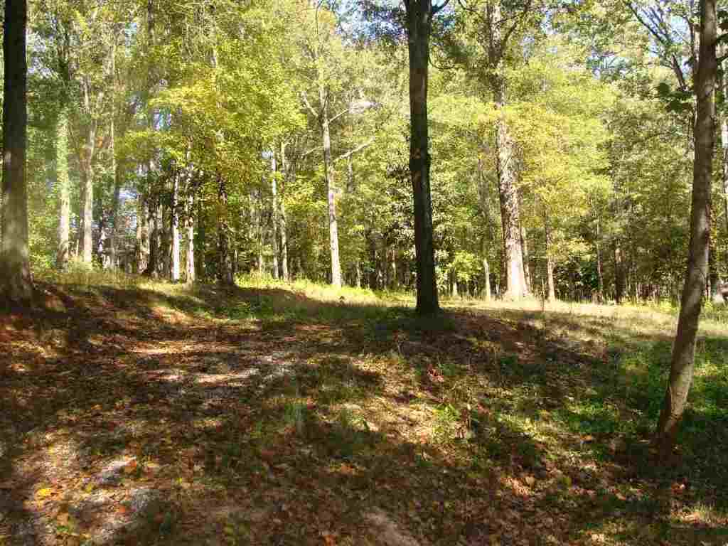 91-acres Echo Hollow Road Anderson, SC 29621 - Photo 4 of 10