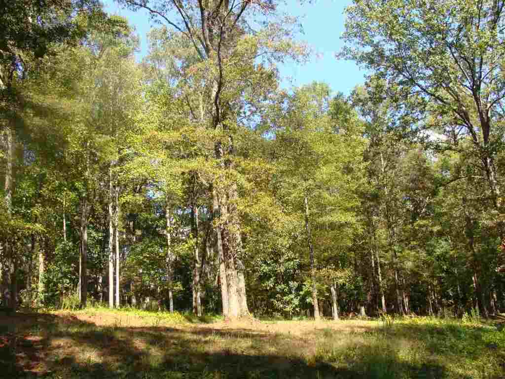 91-acres Echo Hollow Road Anderson, SC 29621 - Photo 5 of 10