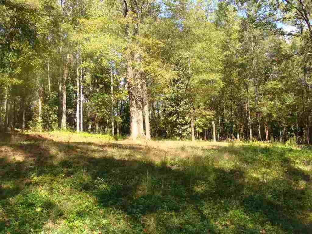 91-acres Echo Hollow Road Anderson, SC 29621 - Photo 6 of 10