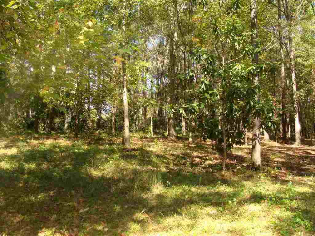 91-acres Echo Hollow Road Anderson, SC 29621 - Photo 8 of 10