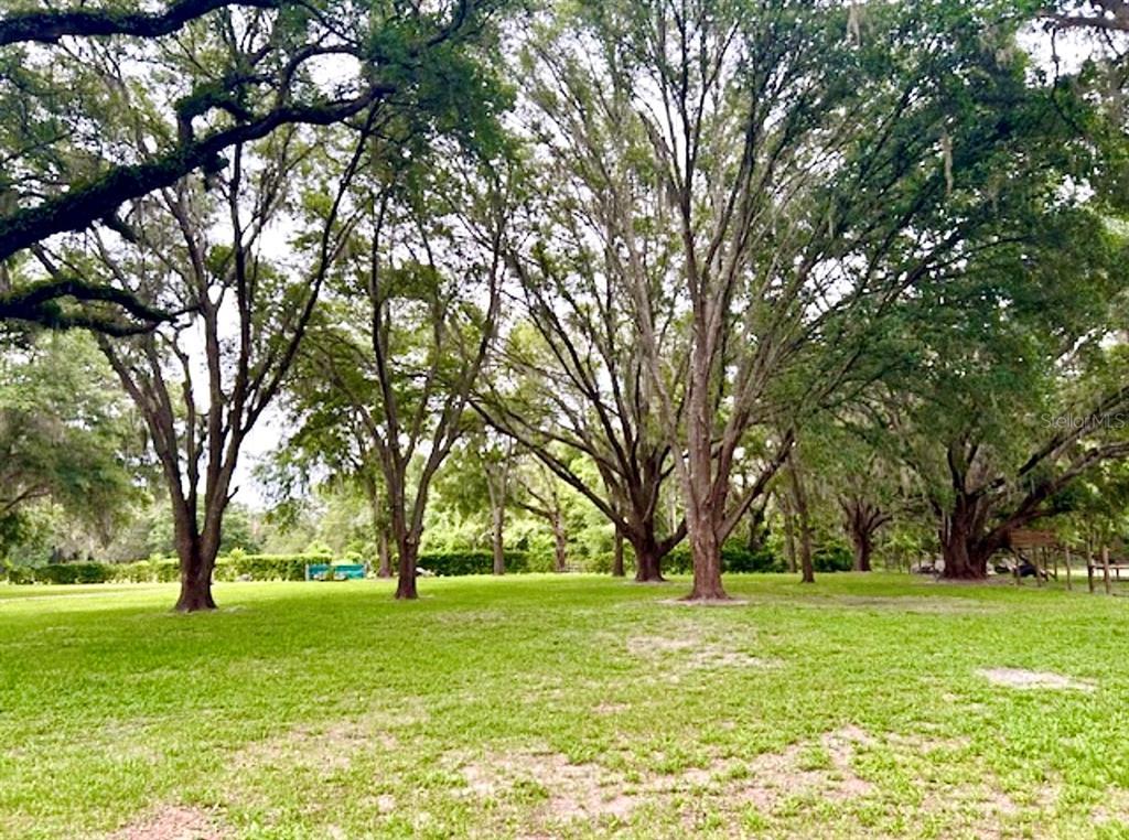 528 Ashley Lane Center Hill, FL 33514 - Photo 15 of 18