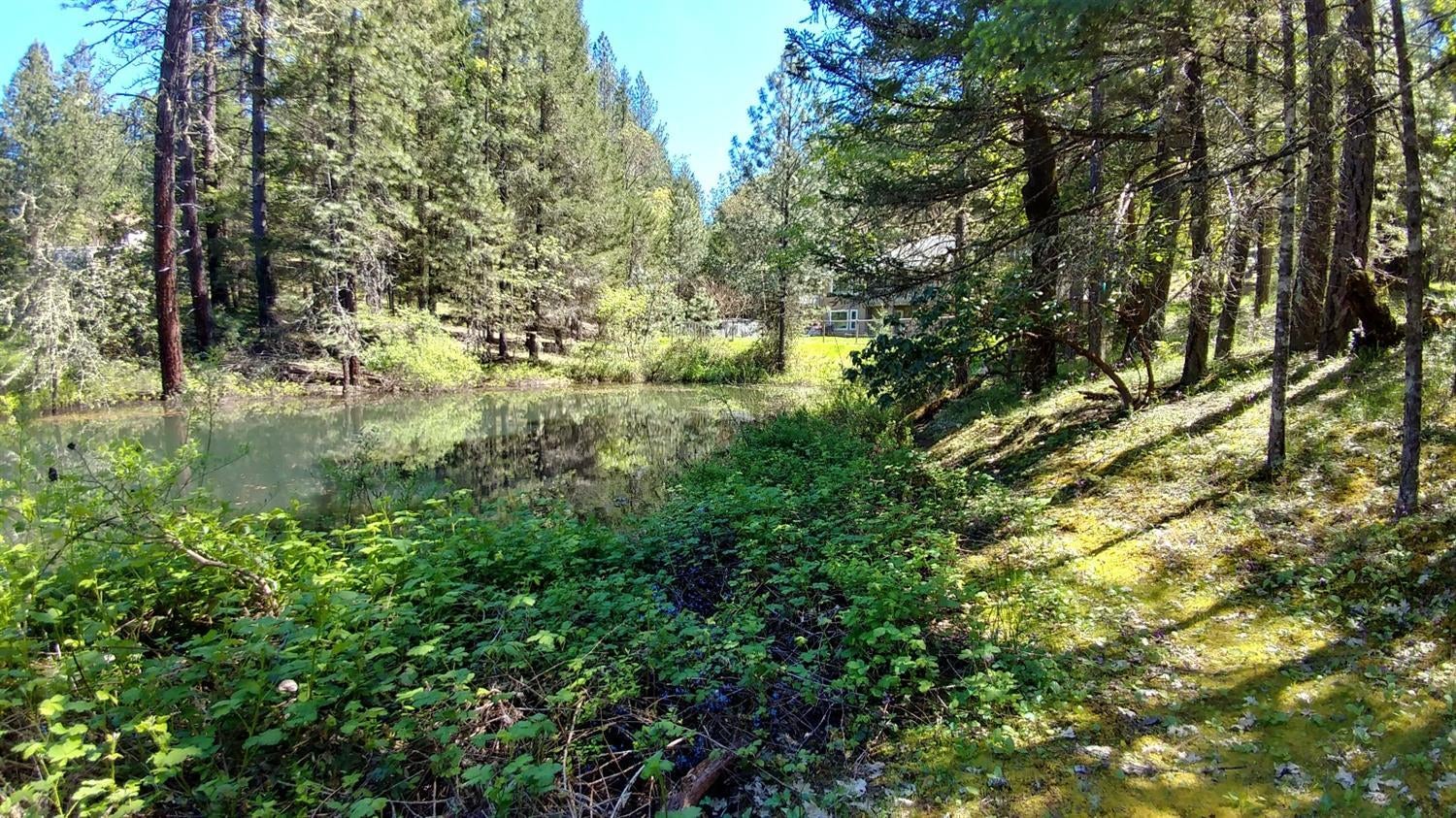 1390 Crow Road Merlin, OR 97532 - Photo 31 of 35 Additional Photo