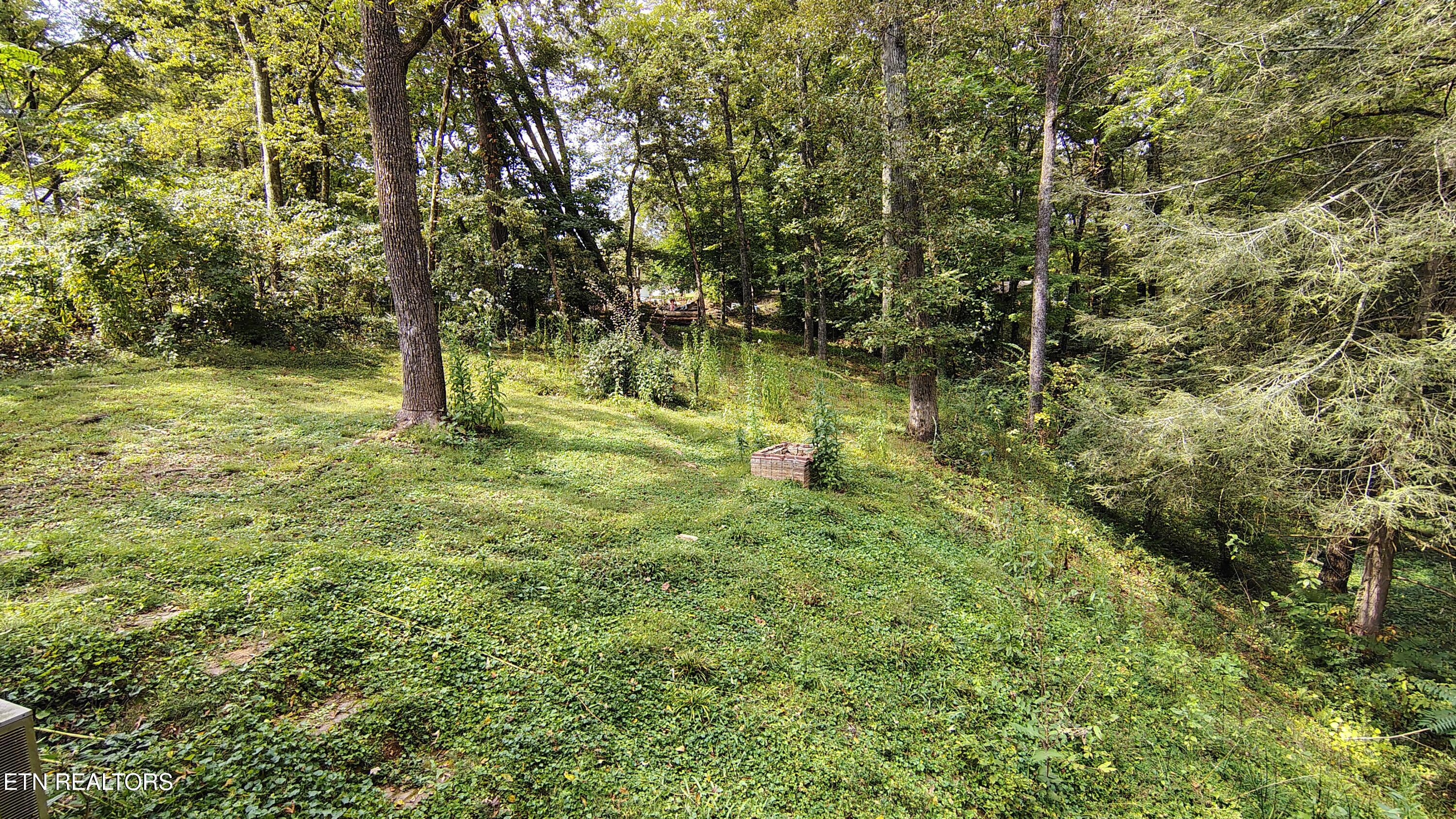 414 Guille Street Athens, TN 37303 - Photo 22 of 24 IMG_20250922_133857831_HDR