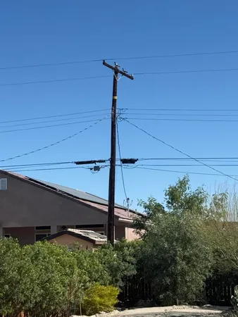 a view of a backyard with plants