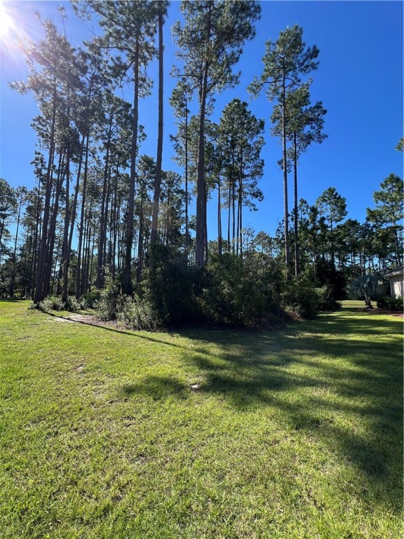 103 Angler Lane St. Marys, GA 31558 - Photo 11 of 24