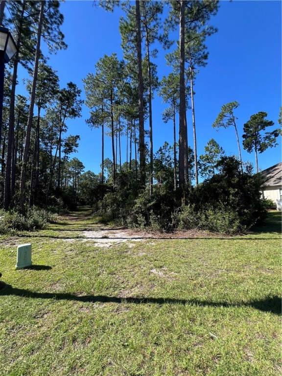 103 Angler Lane St. Marys, GA 31558 - Photo 12 of 24