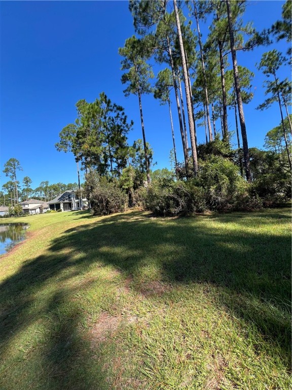 103 Angler Lane St. Marys, GA 31558 - Photo 4 of 24