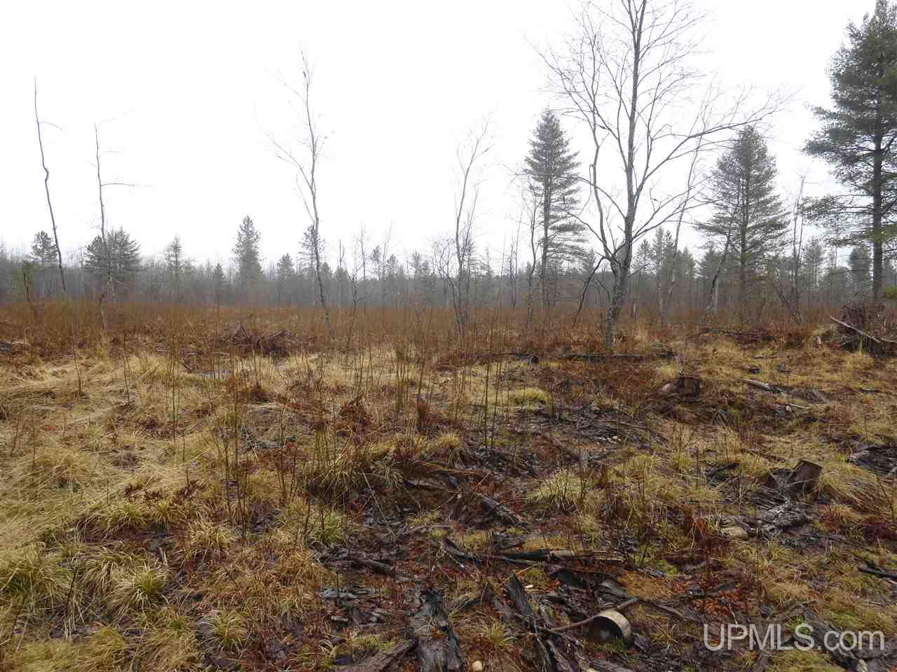 36-acres Off Flodin Road Manistique, MI 49854 - Photo 5 of 13