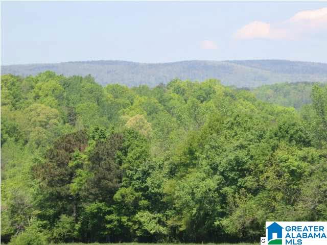 Driggers Road, Unit 45 Lineville, AL 36266 - Photo 4 of 4