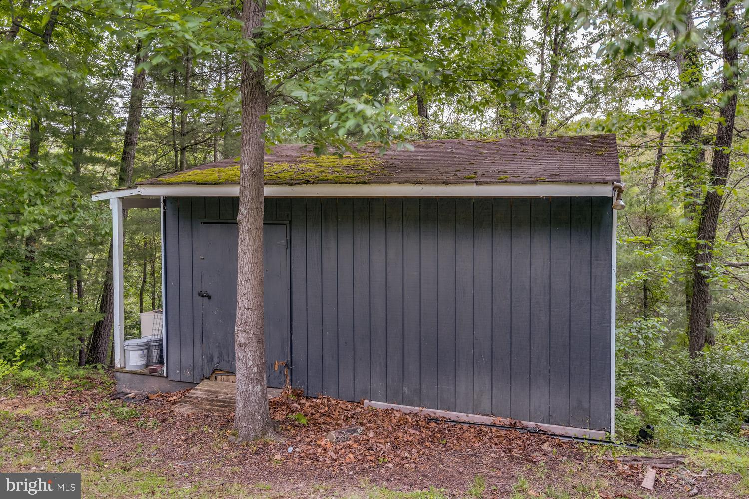 276 Deerhaven Road Front Royal, VA 22630 - Photo 51 of 61 Shed
