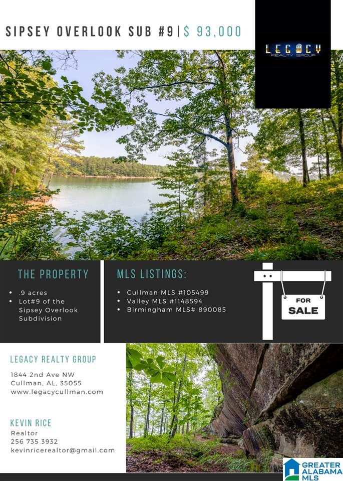 Long Leaf Road, Unit 9 Double Springs, AL 35553 - Photo 2 of 15